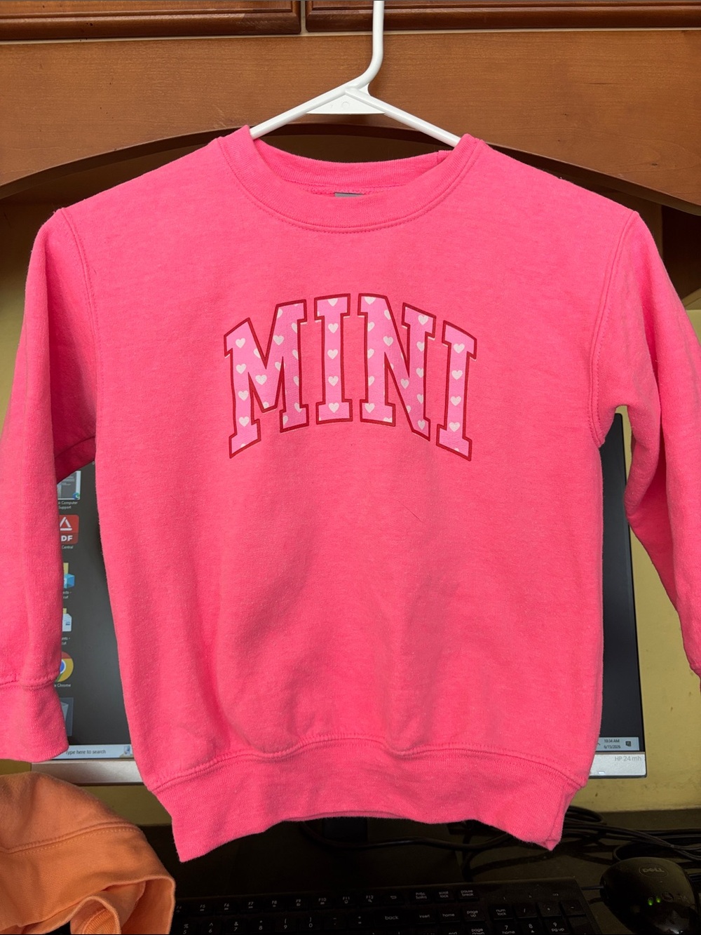 Gildan Pink Mini Sweatshirt